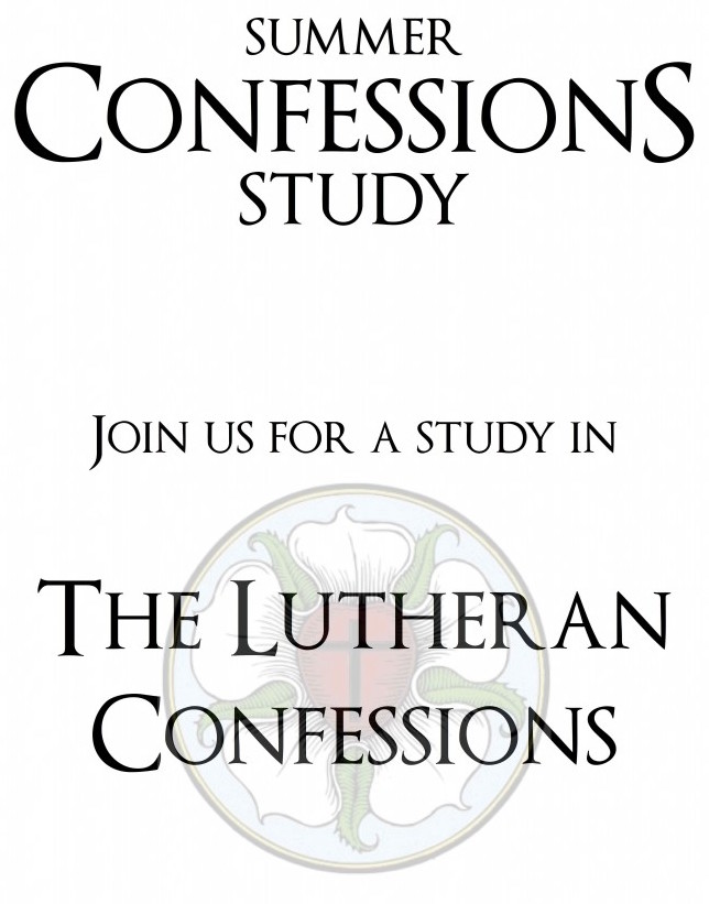 Summer-Confessions-Study3-671x1024